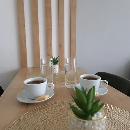 Kosta's Titova Apartment