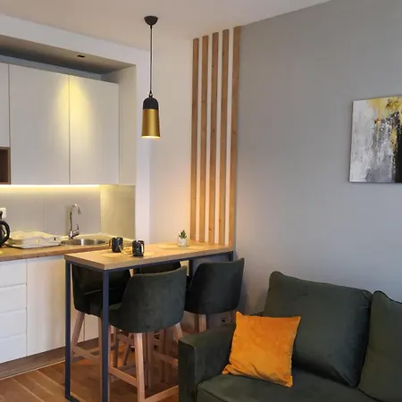 Kosta's Titova Apartment Zlatibor